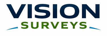 Vision Surveys Logo